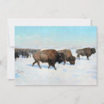 Bison in the Snow (by Rosa Bonheur)