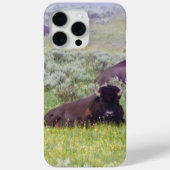 Bison iPhone 15 Pro Max Case Case-Mate iPhoneケース (裏面)