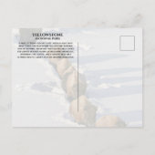 Bison Line Walking through Deep Snow, Yellowstone ポストカード (裏面)