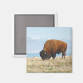 Bison of Antelope Island, UT マグネット (正面/裏面)