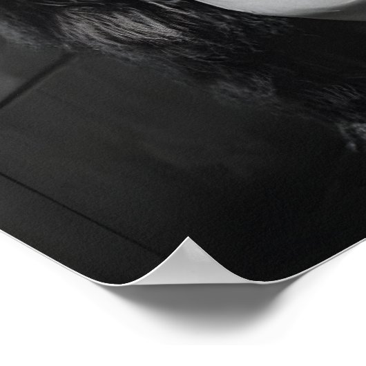 Bison on Toilet Print, Funny Bathroom Newspaper ポスター (角)