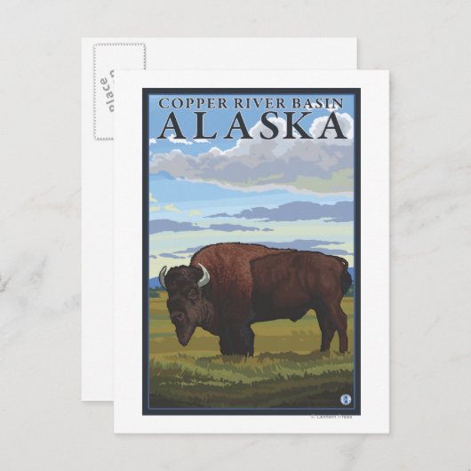 Bison Scene – アラスカの銅川流域 ポストカード (正面/裏面)