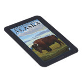 Bison Scene – アラスカ、デルタジャンクション マグネット (右側)