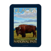 Bison Scene - Glacier National Park, MT マグネット (縦)