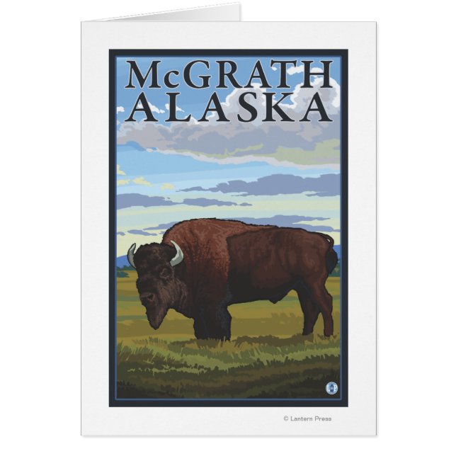 Bison Scene - McGrath，アラスカ (正面)