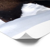 Bison Snowポスター ポスター (角)