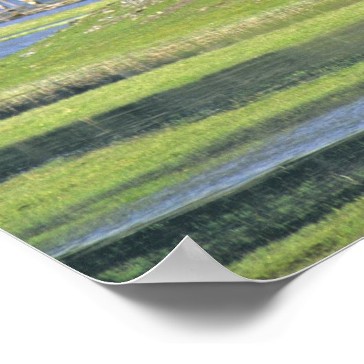 Bison with calf at Yellowstone National Park ポスター (角)