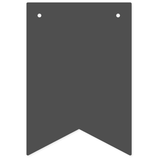 Bitcoin Event Item バンティングフラッグ (第2の旗)