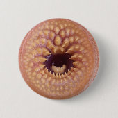 biteyのバッジ 缶バッジ (正面)