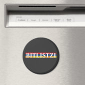 Bitlistzi マグネット (インサイチュ (食洗機))