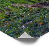 Bittern Birdフォトプリント ポスター (角)