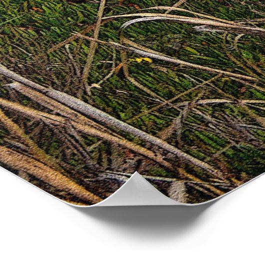 Bixby Creek Bridge 36 x 24ポスター ポスター (角)