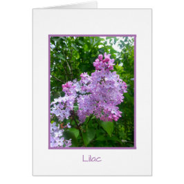 BJHの"庭の退去"のコレクションの挨拶状