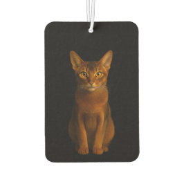 Black 4 Luxe Car Air Fresheners, Abyssinian Beauty カーエアーフレッシュナー