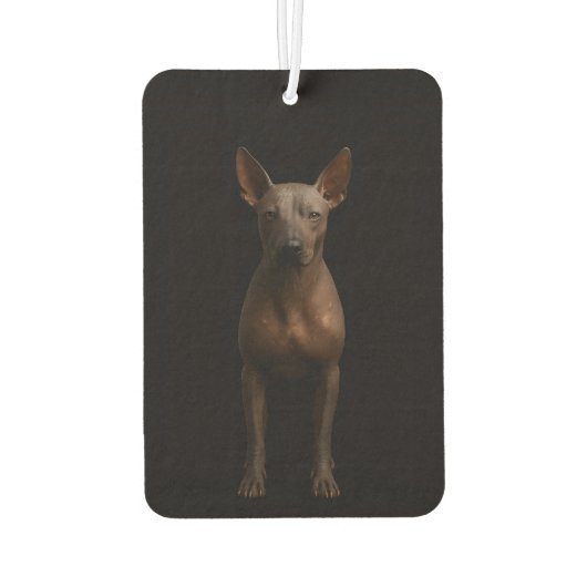 Black 4 Luxe Car Air Fresheners Argentina Pila Dog カーエアーフレッシュナー (裏面)