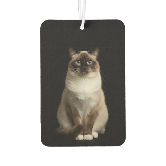 Black 4 Luxe Car Air Fresheners, Birmanese Cat カーエアーフレッシュナー (裏面)