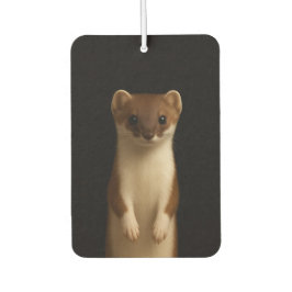 Black 4 Luxe Car Air Fresheners, Elegant Weasel カーエアーフレッシュナー