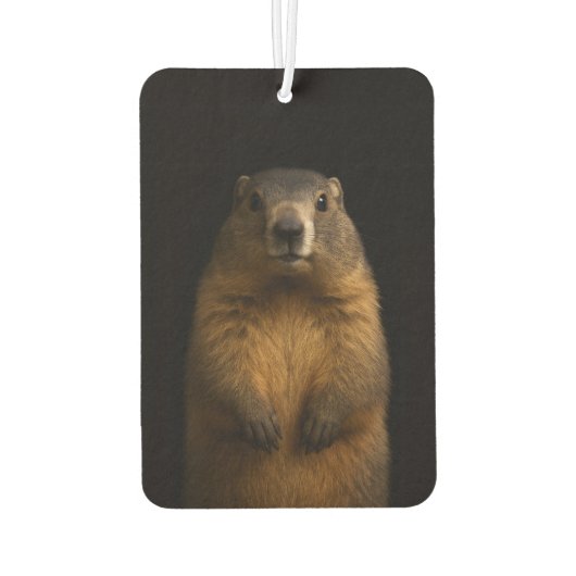 Black 4 Luxe Car Air Fresheners, Fluffy Marmot カーエアーフレッシュナー (裏面)