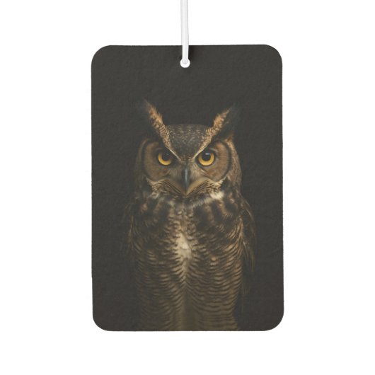Black 4 Luxe Car Air Fresheners, Golden Eye Owl カーエアーフレッシュナー (正面)