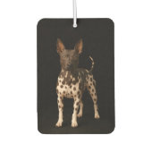 Black 4 Luxe Car Air Fresheners, Hairless Terrier カーエアーフレッシュナー (正面)