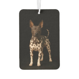 Black 4 Luxe Car Air Fresheners, Hairless Terrier カーエアーフレッシュナー