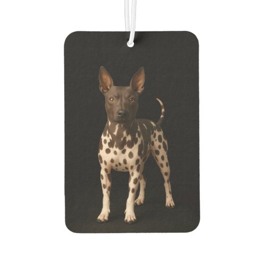 Black 4 Luxe Car Air Fresheners, Hairless Terrier カーエアーフレッシュナー (裏面)
