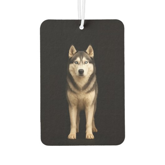 Black 4 Luxe Car Air Fresheners Icy Elite Husky カーエアーフレッシュナー (裏面)