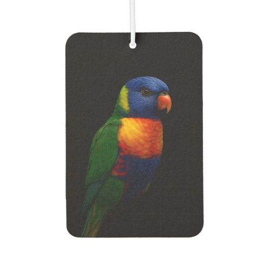 Black 4 Luxe Car Air Fresheners, Lorikeet Parrot カーエアーフレッシュナー (正面)