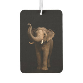Black 4 Luxe Car Air Fresheners, Mighty Elephant カーエアーフレッシュナー