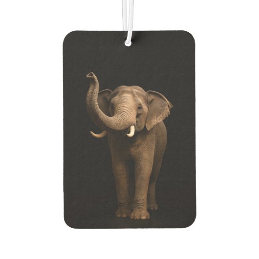 Black 4 Luxe Car Air Fresheners, Mighty Elephant カーエアーフレッシュナー (裏面)