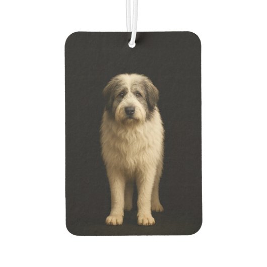 Black 4 Luxe Car Air Fresheners Mioritic Shepherd カーエアーフレッシュナー (裏面)