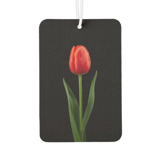 Black 4 Luxe Car Air Fresheners Ruby Red Tulip カーエアーフレッシュナー (裏面)