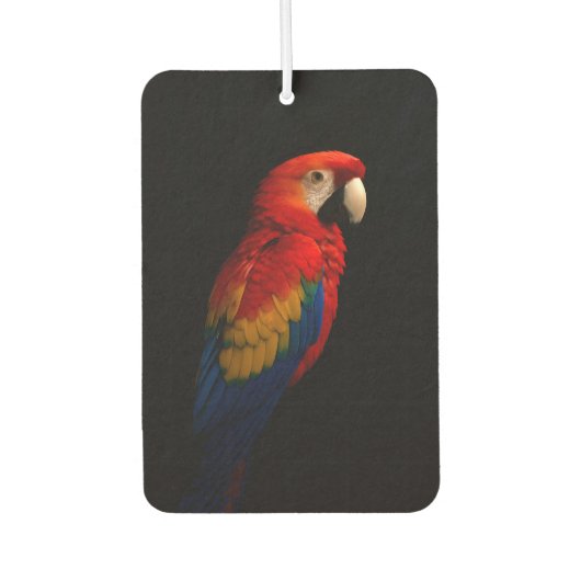Black 4 Luxe Car Air Fresheners, Scarlet Parrot カーエアーフレッシュナー (正面)
