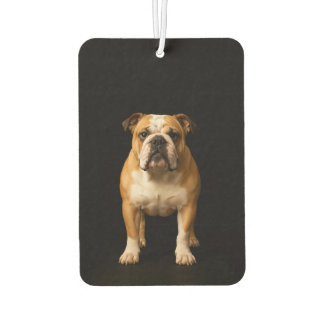 Black 4 Luxe Car Air Fresheners Stamina Bulldog カーエアーフレッシュナー