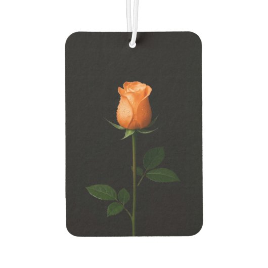 Black 4 Luxe Car Air Fresheners Sunset Orange Rose カーエアーフレッシュナー (裏面)