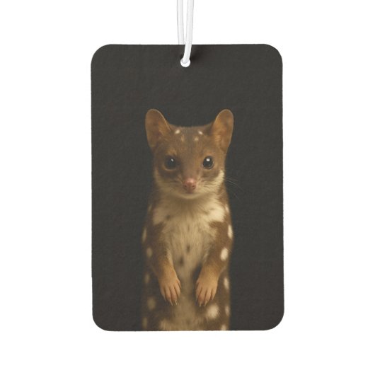 Black 4 Luxe Car Air Fresheners Sweet Quoll カーエアーフレッシュナー (裏面)