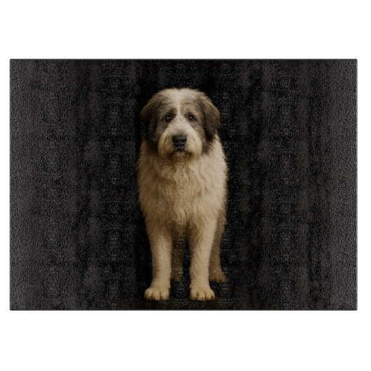 Black 4 Luxe Glass board Mioritic Shepherd カッティングボード (正面)