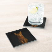 Black 4 Luxe Glass coaster, Abyssinian Beauty ガラスコースター (アングル)
