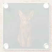 Black 4 Luxe Glass coaster, Abyssinian Beauty ガラスコースター (裏面)