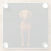Black 4 Luxe Glass coaster, Agile Vizsla Dog ガラスコースター (裏面)