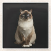 Black 4 Luxe Glass coaster, Birmanese Cat ガラスコースター (正面)