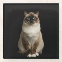 Black 4 Luxe Glass coaster, Birmanese Cat ガラスコースター