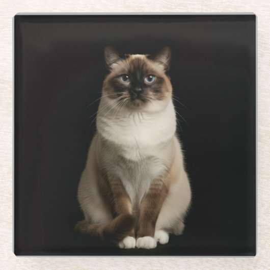 Black 4 Luxe Glass coaster, Birmanese Cat ガラスコースター (正面)