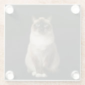 Black 4 Luxe Glass coaster, Birmanese Cat ガラスコースター (裏面)