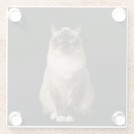 Black 4 Luxe Glass coaster, Birmanese Cat ガラスコースター (裏面)