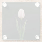 Black 4 Luxe Glass coaster, Blush Pink Tulip ガラスコースター (裏面)