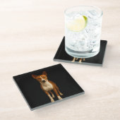 Black 4 Luxe Glass coaster, Classy Basenji Dog ガラスコースター (アングル)