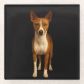 Black 4 Luxe Glass coaster, Classy Basenji Dog ガラスコースター (正面)