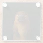 Black 4 Luxe Glass coaster, Elegant Platypus ガラスコースター (裏面)