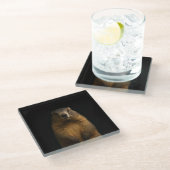 Black 4 Luxe Glass coaster, Fluffy Marmot ガラスコースター (アングル)